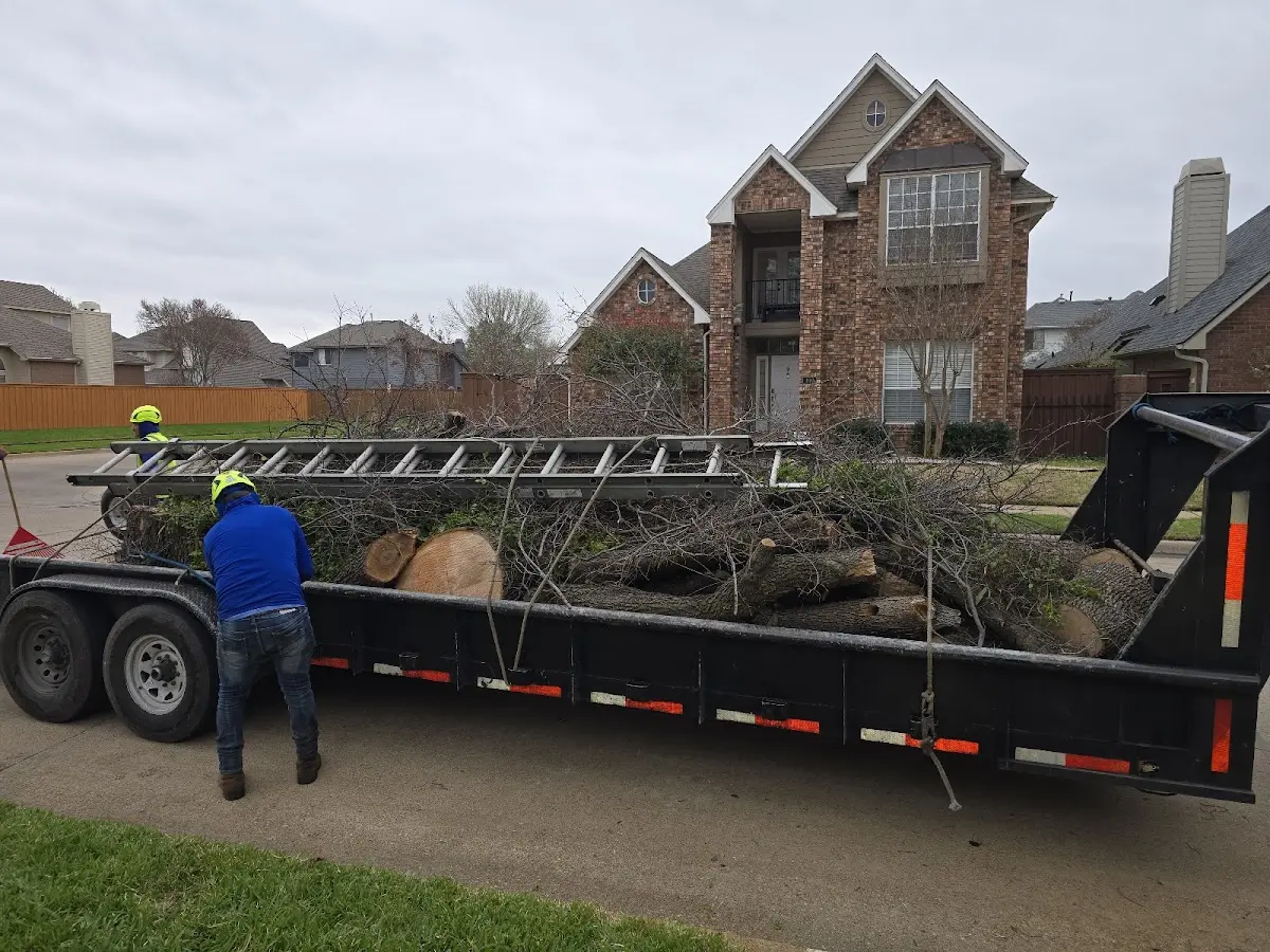 Expert Crown Reduction with proper safety equipment in Spicewood